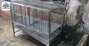 Chuồng Chó Inox Cũ Hà Nội